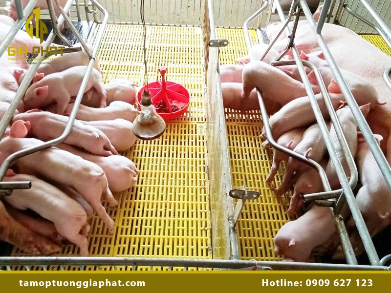 Giá tấm nhựa lót sàn chuồng heo bao nhiêu?