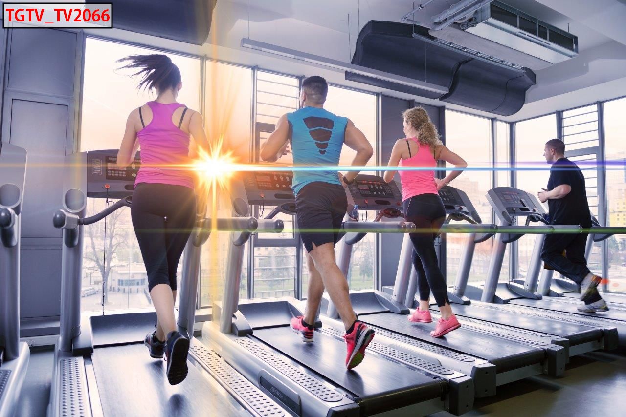TRANH DÁN TƯỜNG PHÒNG GYM